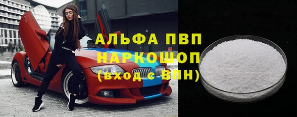 стаф Белокуриха