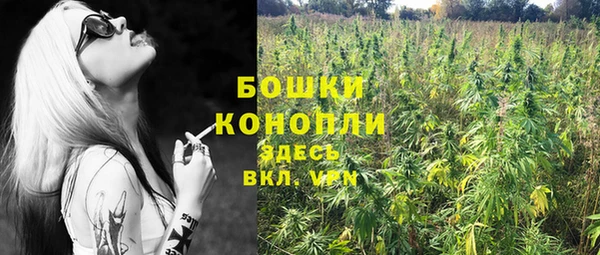 spice Балахна