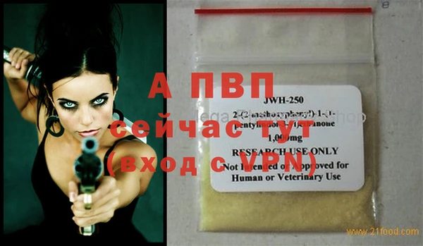 стаф Белокуриха