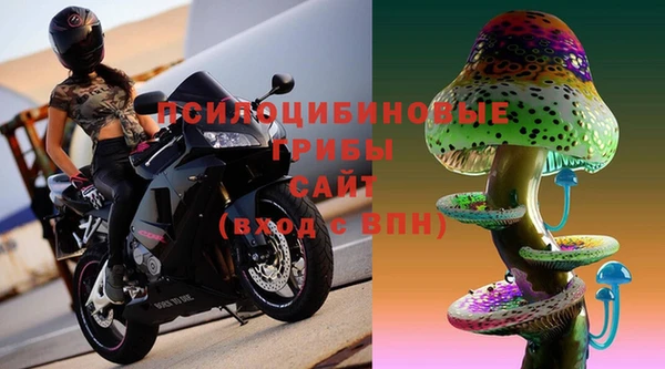 стаф Белокуриха