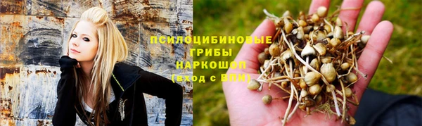 стаф Белокуриха